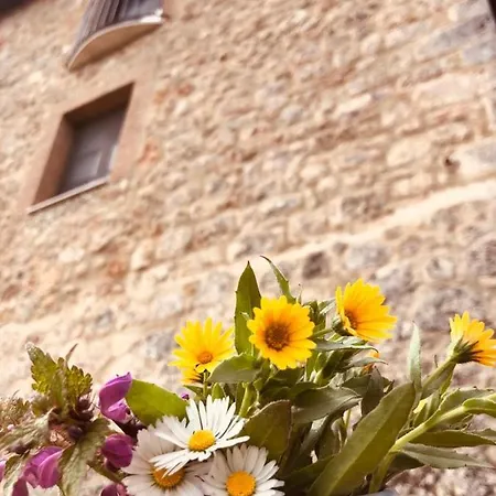 Bed & Breakfast Torre Della Chiocciola