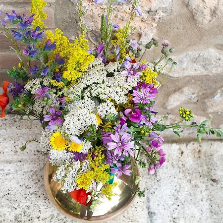 Bed & Breakfast Torre Della Chiocciola Monteriggioni