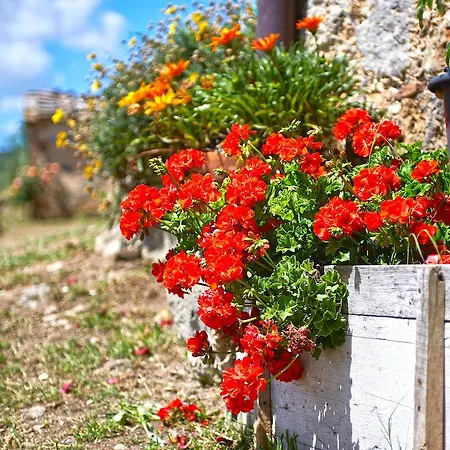 Bed & Breakfast Torre Della Chiocciola